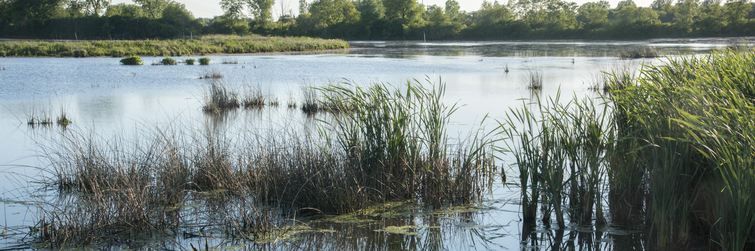 The preparation that MADs take before the start of each mosquito season plays a key role in keeping transmission of mosquito-borne illnesses to humans low. 
