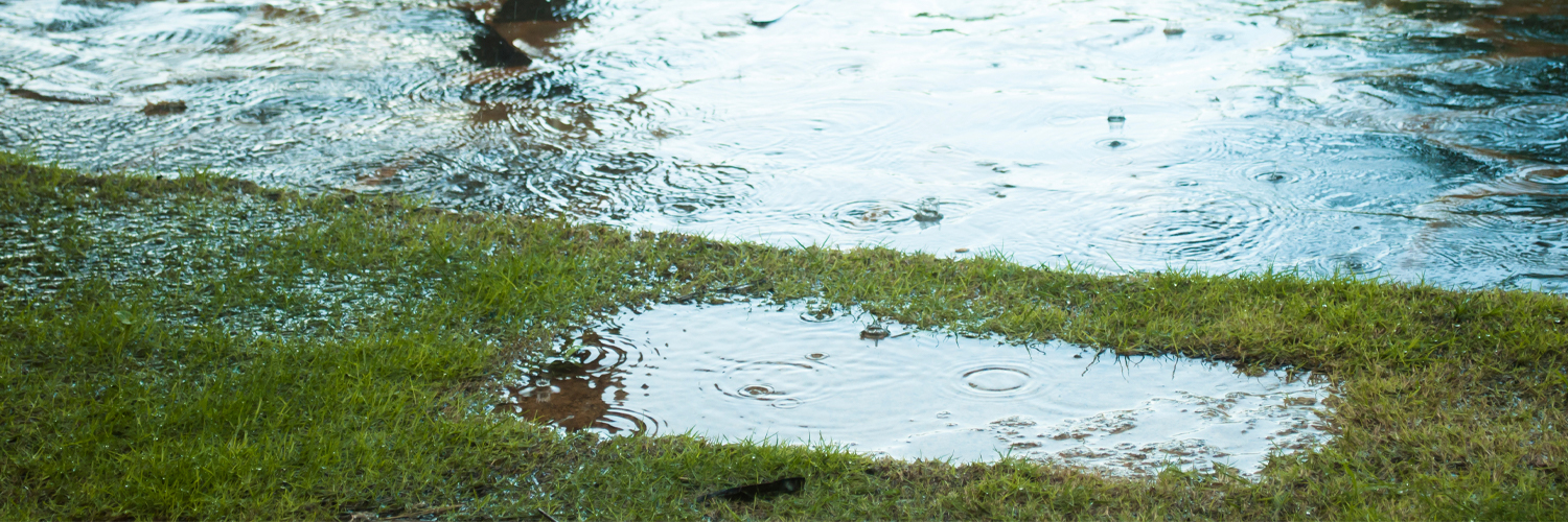 Scientists say mosquito abatement districts (MADs) and public health officials (PHOs) need to work alongside each other to increase efforts to track and reduce late-season mosquito populations. 