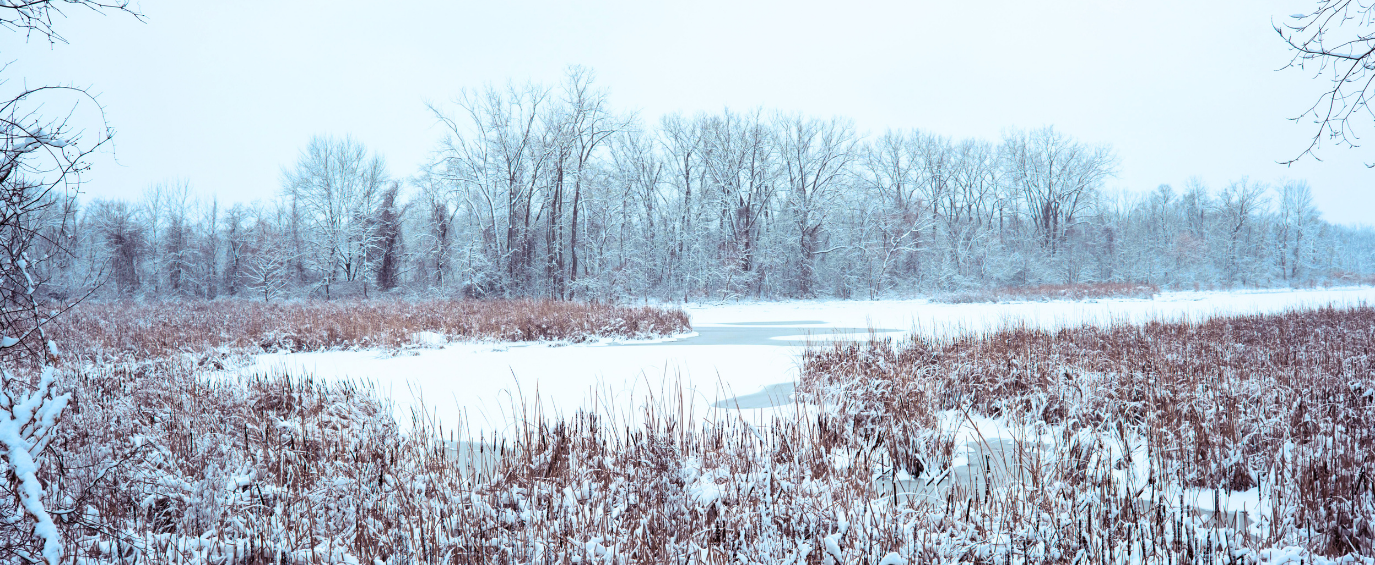 Winterization Strategies