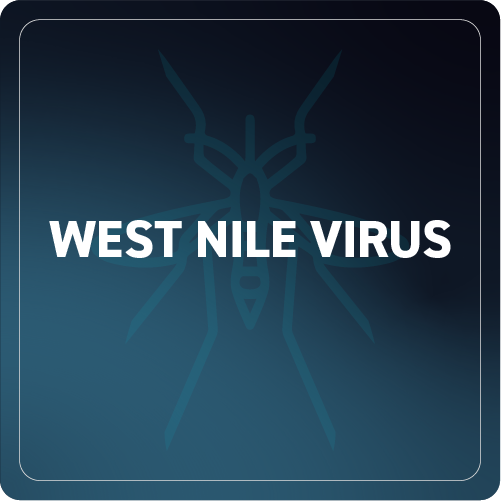 West Nile Virus